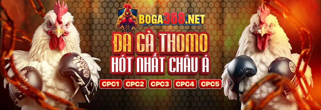 Cập nhật xu hướng cá cược trực tuyến 2026 tại bet6789